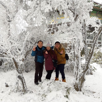 Jeju 1100 Altitude Wetland-西归浦市必去景点