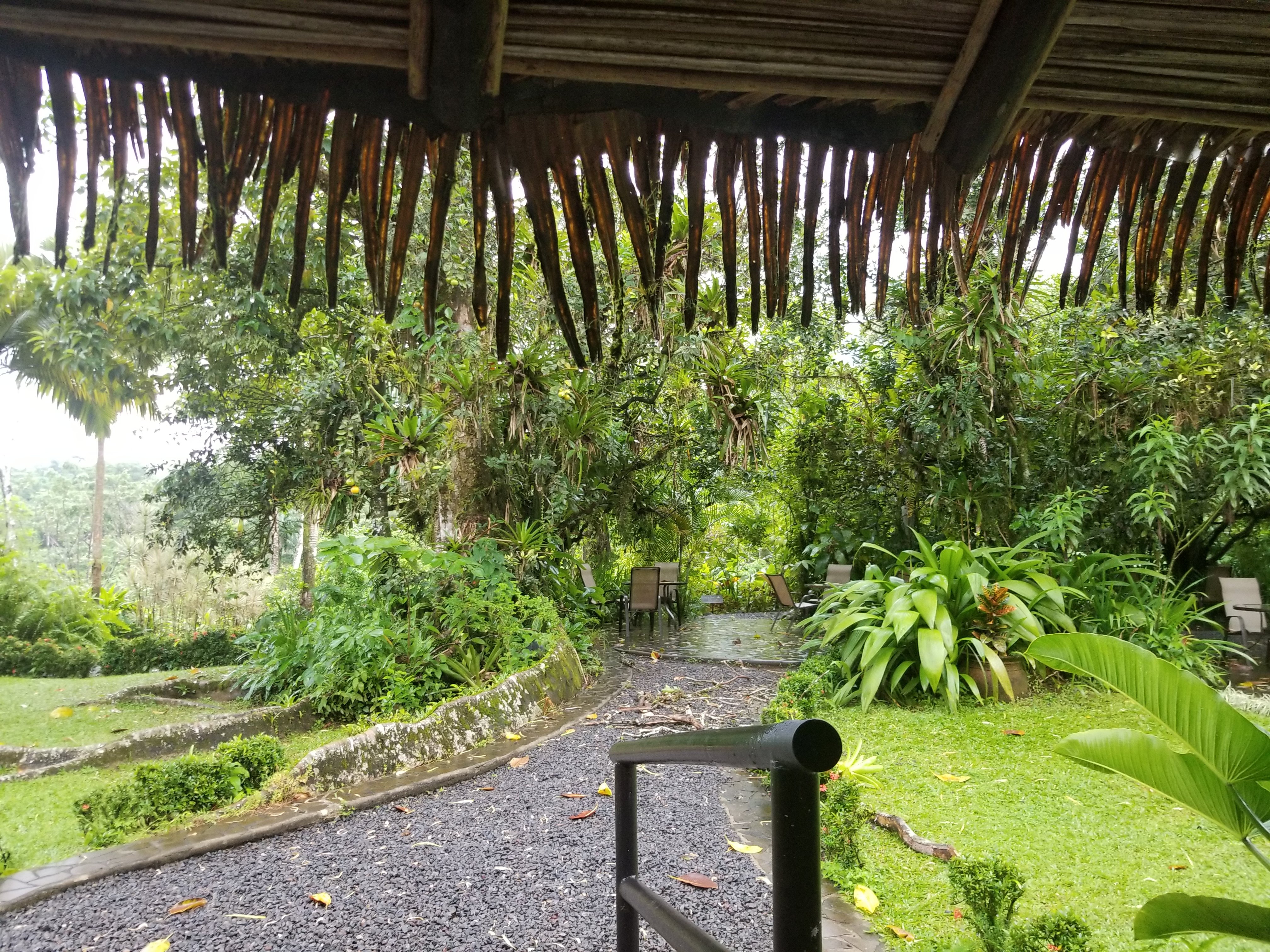 Sarapiquis Rainforest Lodge-餐饮