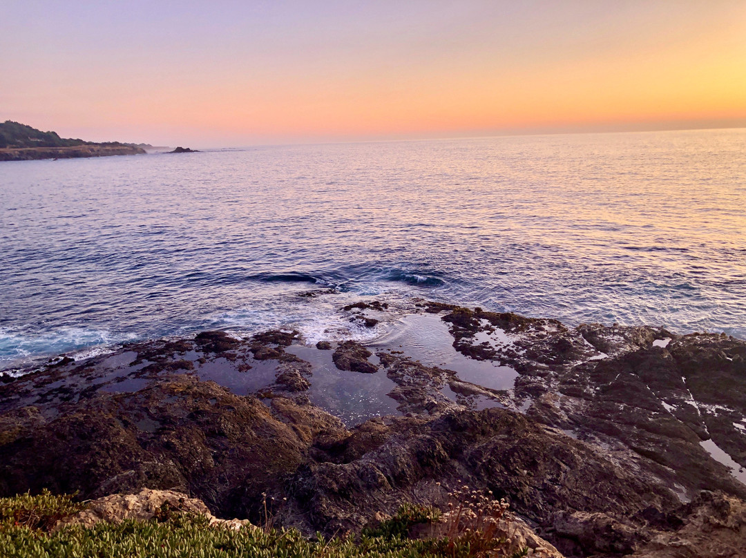 Mendocino Headlands State Park景点图片