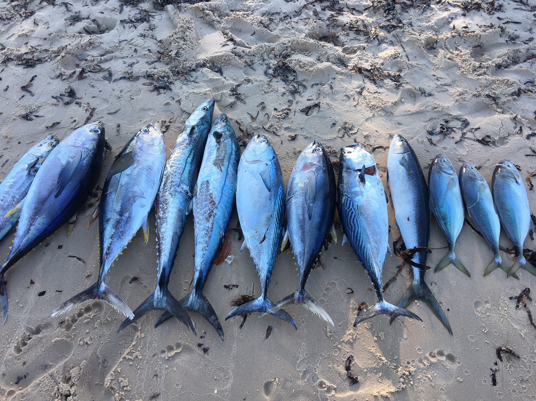 Kitesurfing Centre Mozambique-Vilanculos必去景点