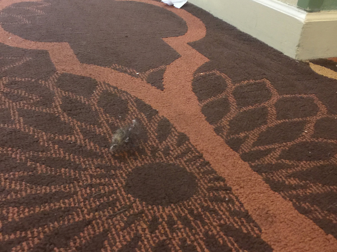 La Quinta Inn & Suites by Wyndham Florence主图