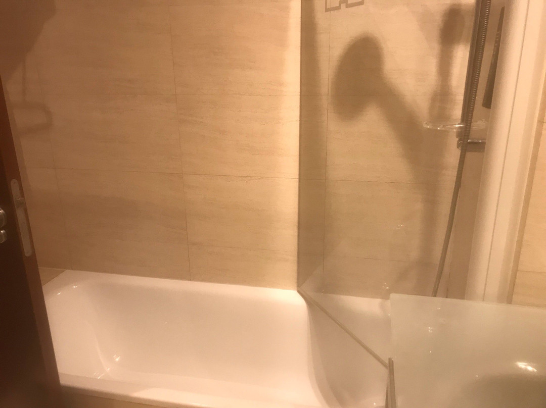 泽尼特毕尔巴鄂酒店主图