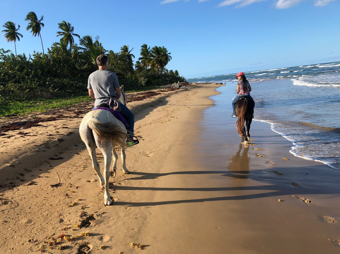 Rancho Playa-拉斯特拉纳斯必去景点