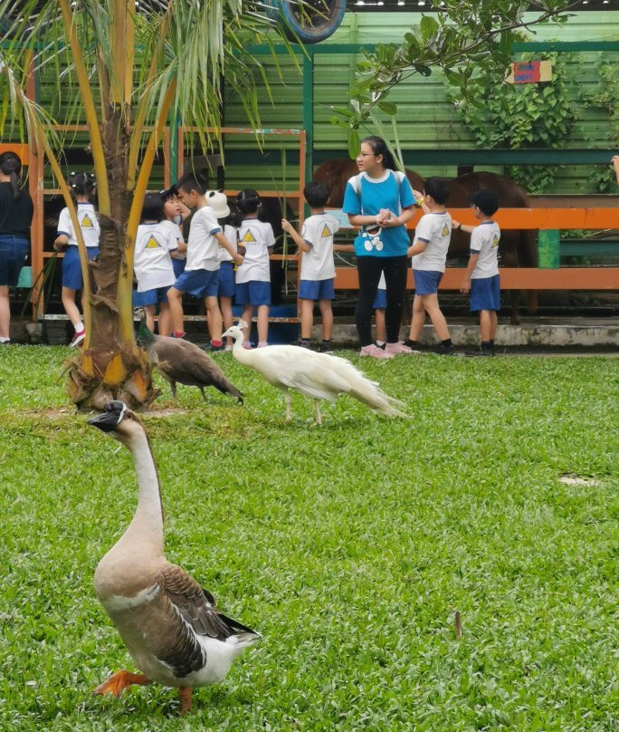 BSL Ecofarm-Ayer Hitam必去景点