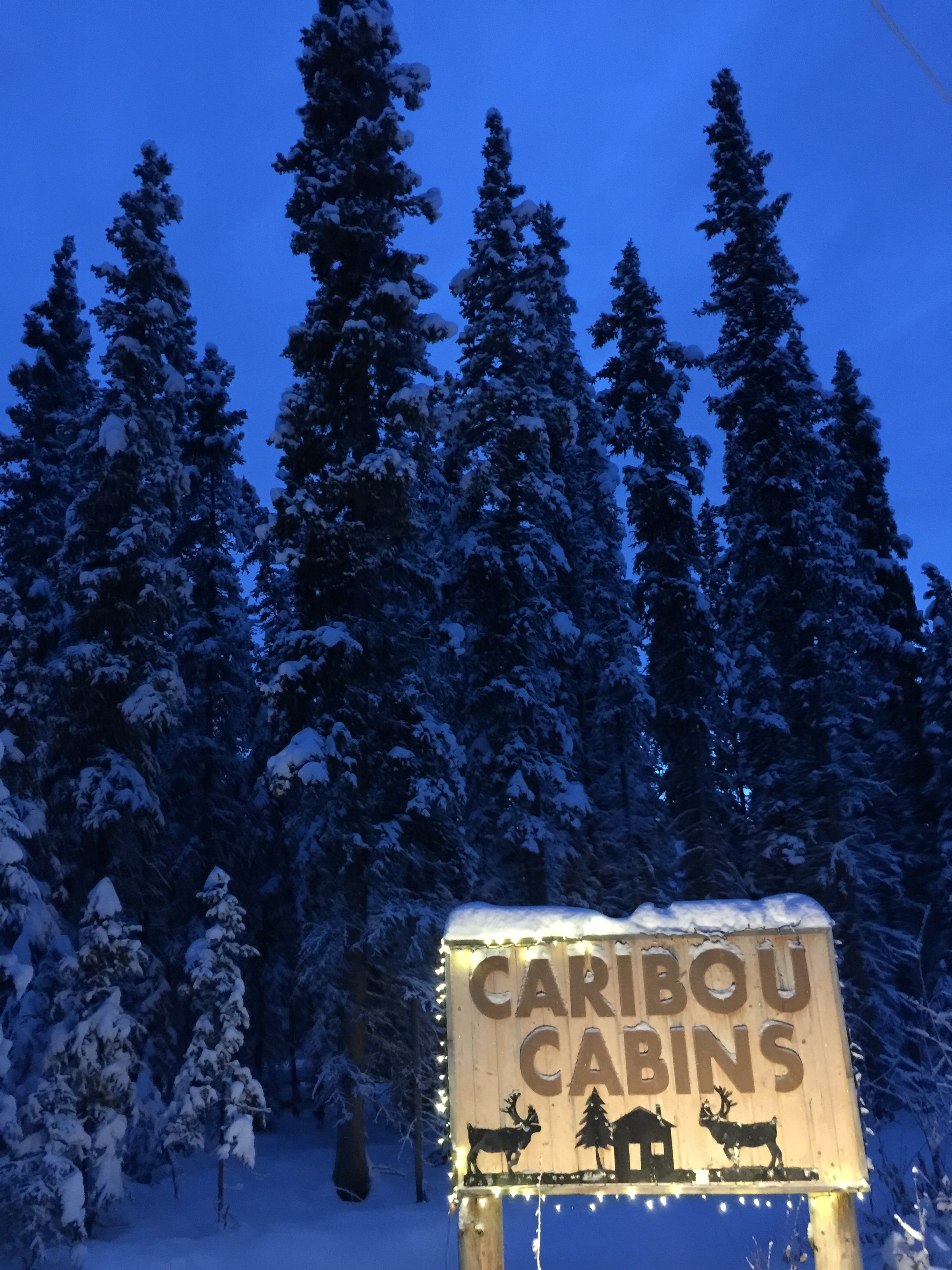 Caribou Cabins-浴室