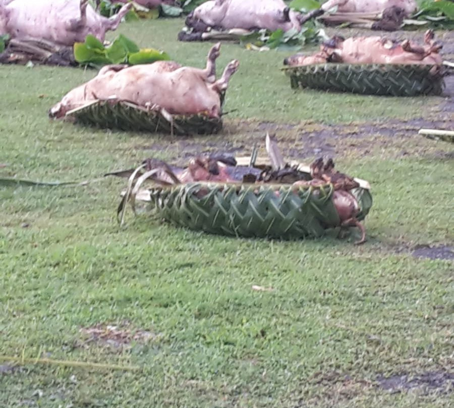 Eglise De La Sainte Famille-Futuna Island必去景点