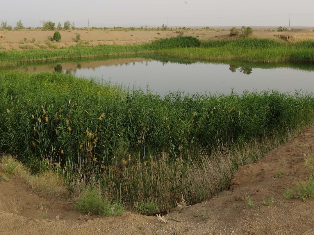 Maranjab Desert Eco Camp主图