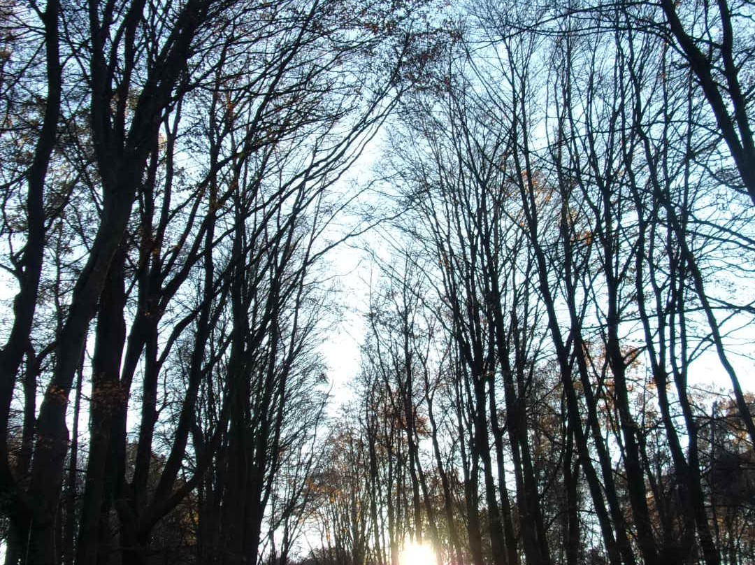 Vorwerkpark景点图片