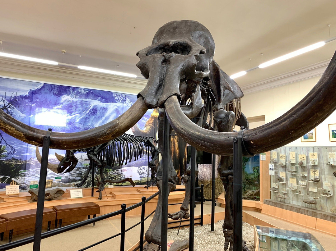 City Council Local History Museum-秋明必去景点