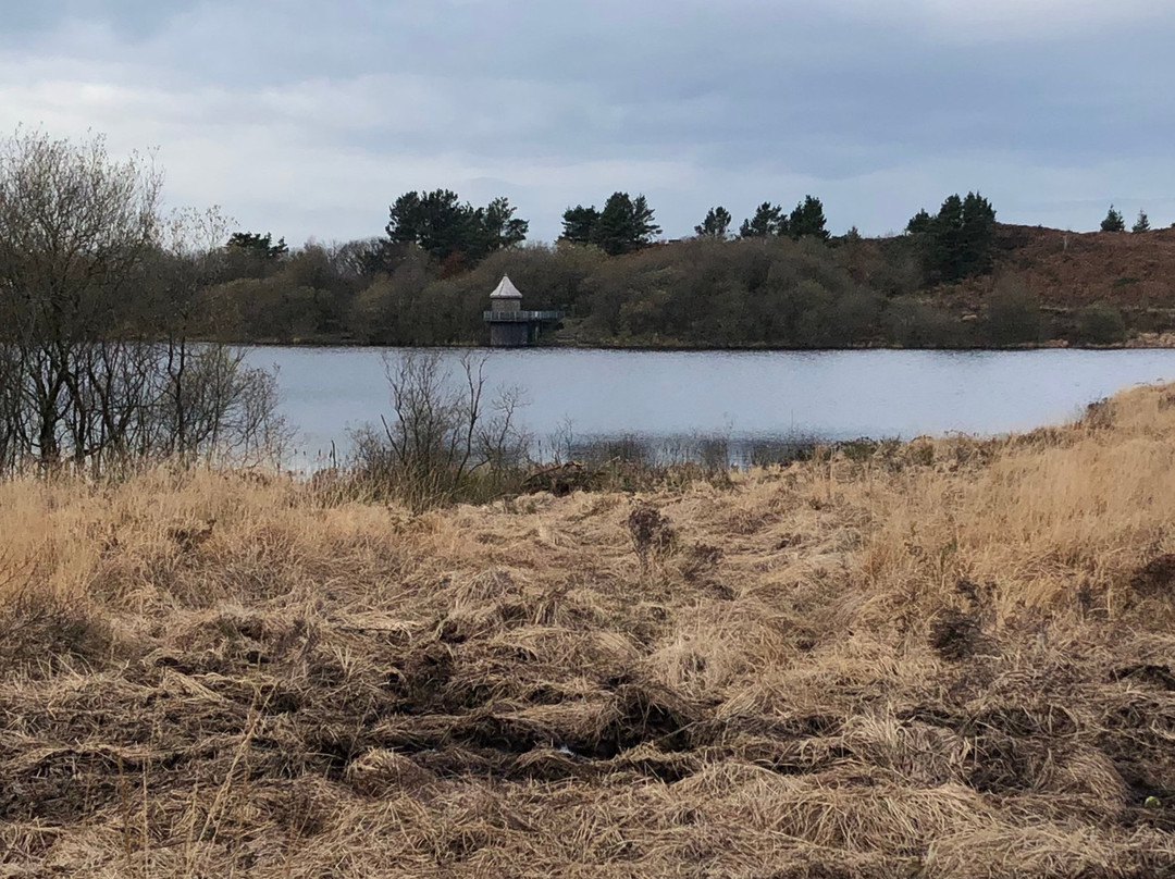 Llyn Llech Owain Country Park-Gorslas必去景点