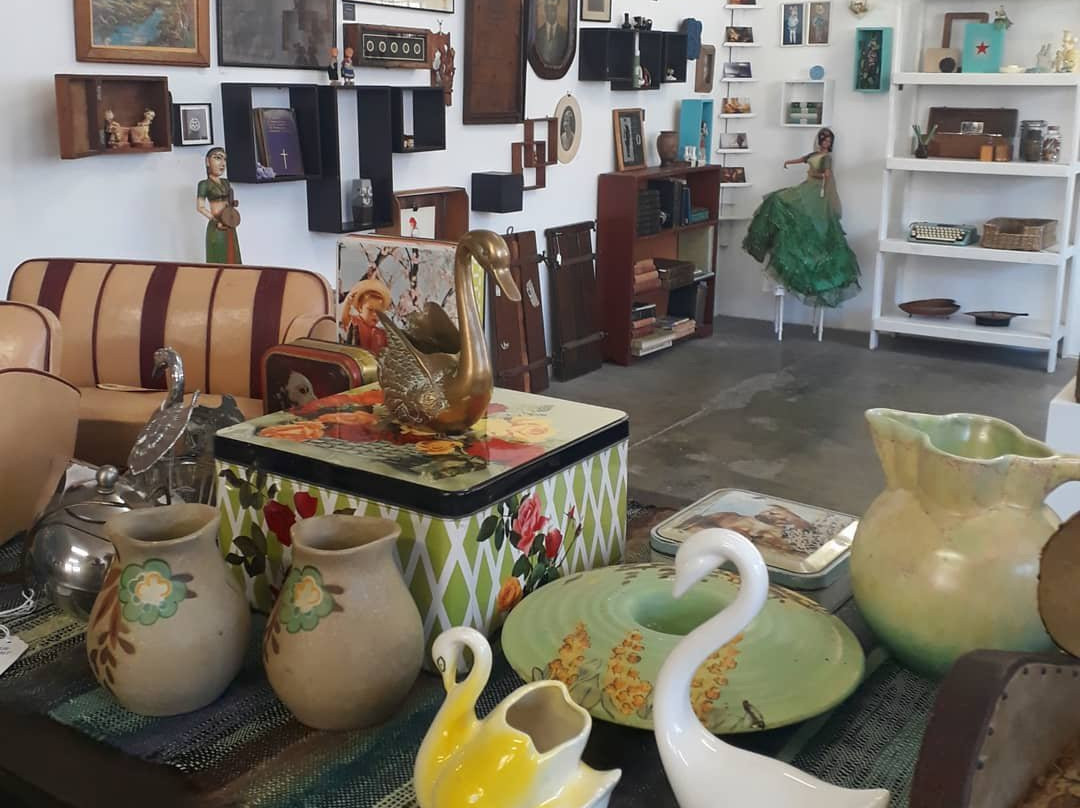 Alex Hamilton Art Studio-开普敦中心区必去景点