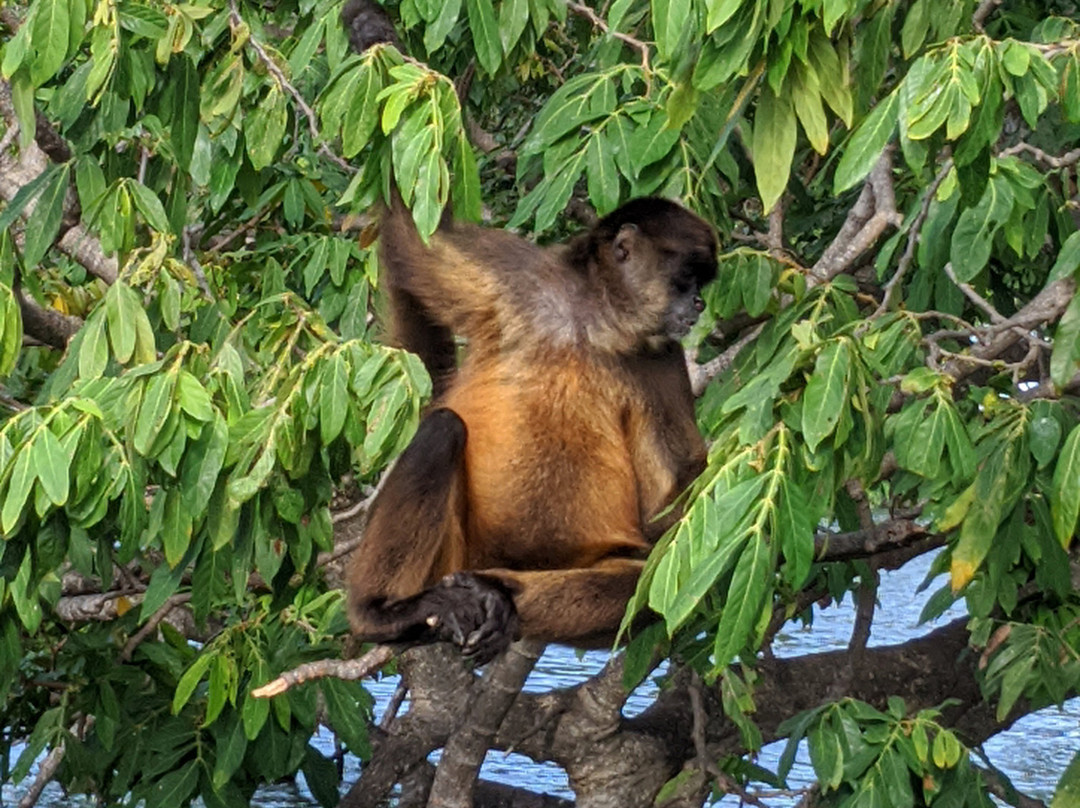 Expedited Tours Costa Rica-塔马林多必去景点