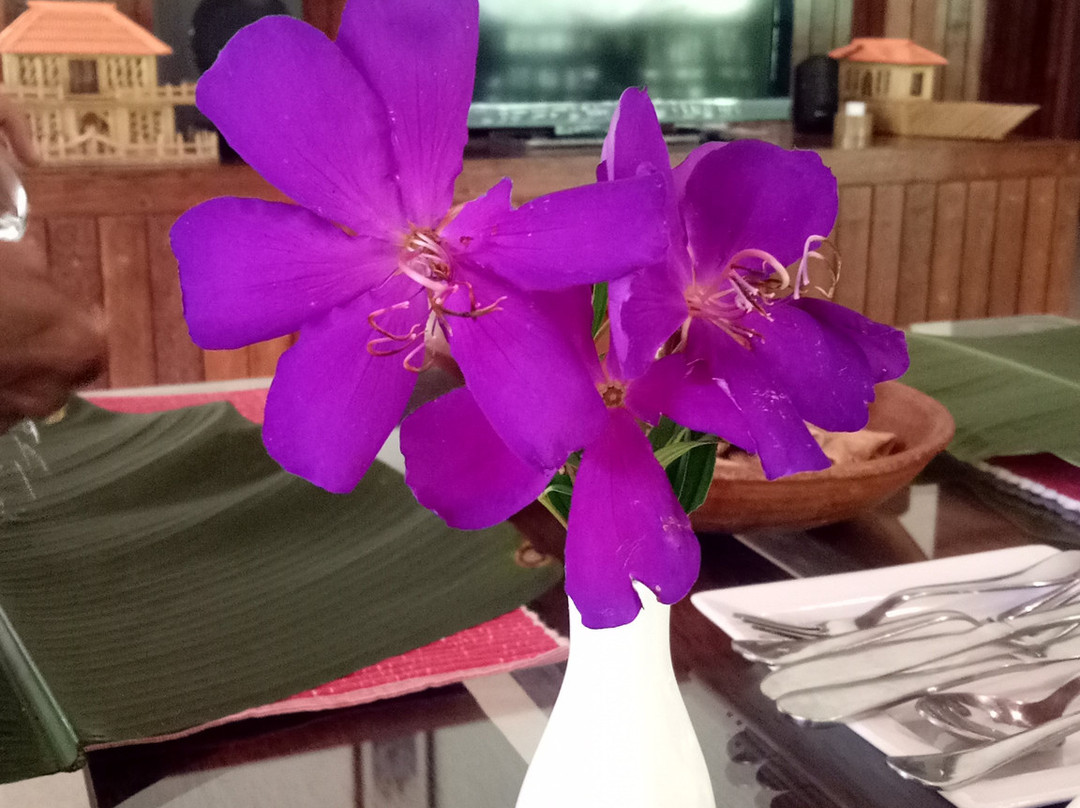 Bamboo Creek Resort主图