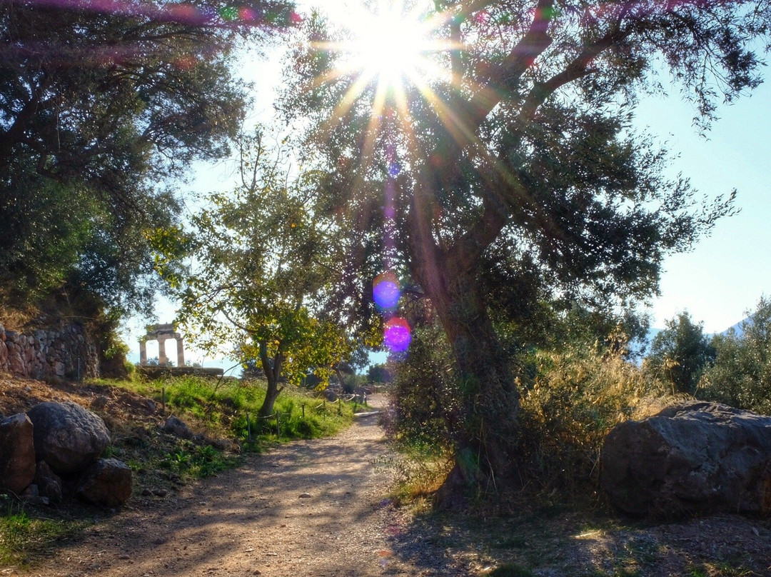 JG Athens Tours-雅典必去景点