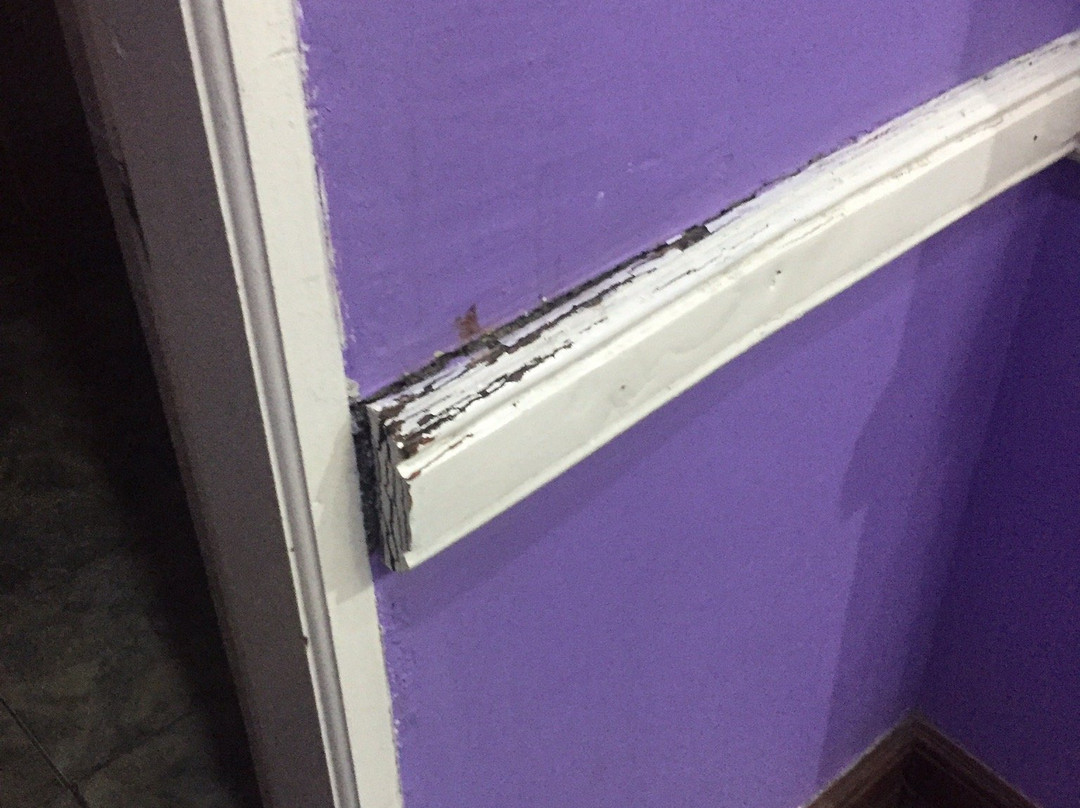 乔安娜度假别墅酒店主图