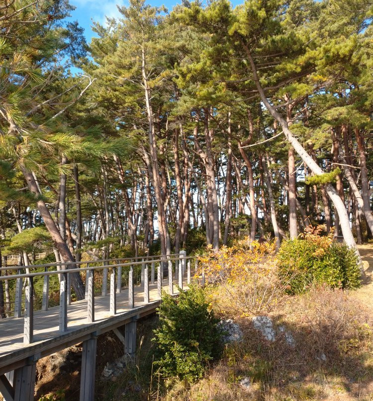 Goishi Kaigan Beach-大船渡市必去景点