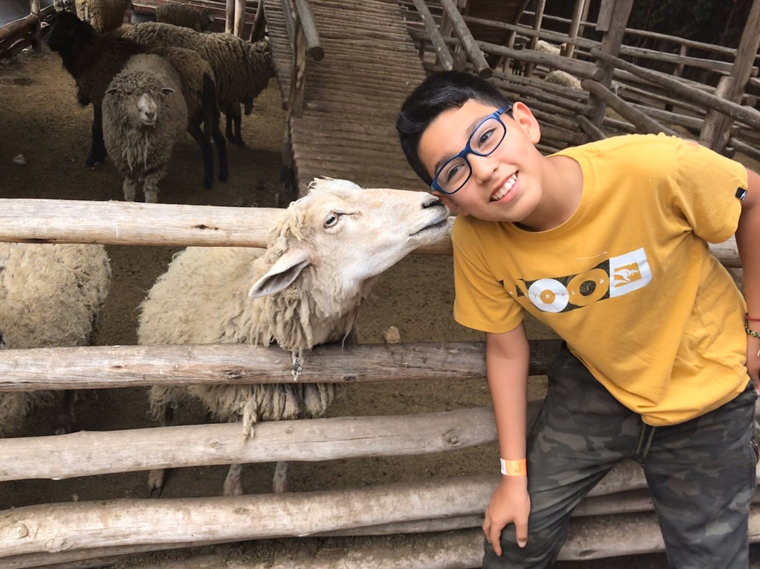 Granja Interactiva Fundo San Vicente-Lurin必去景点