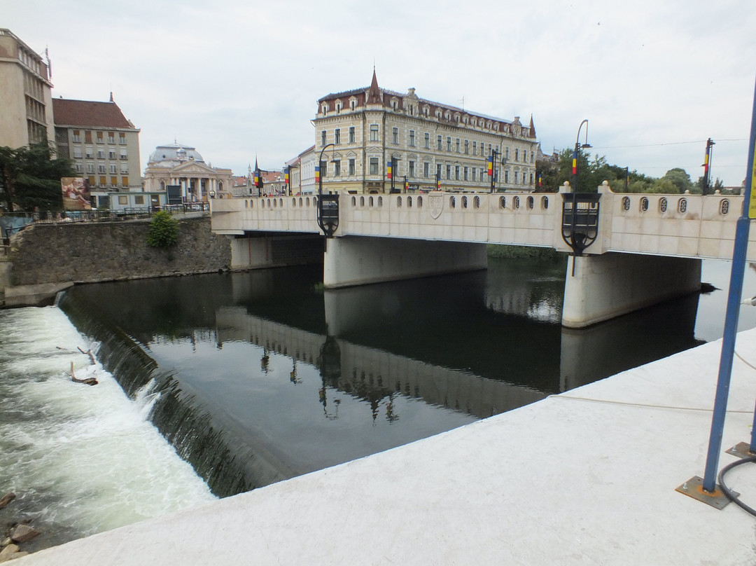 Oradea City Hall景点图片