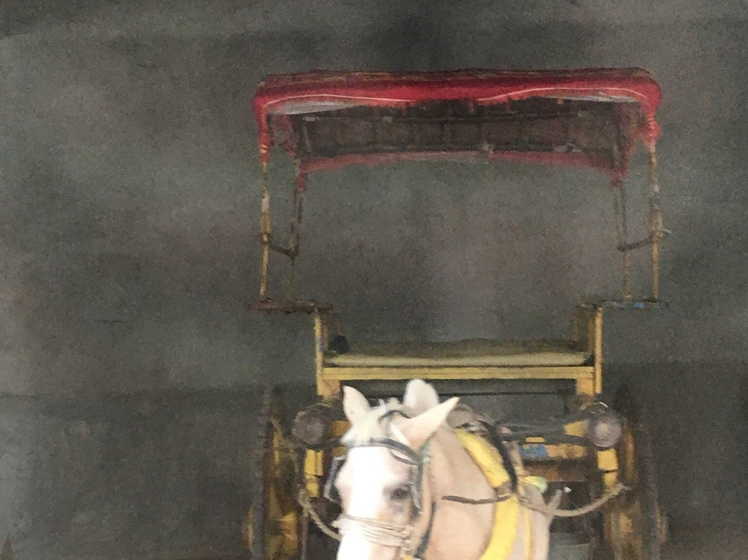 House Of Jagath Seth-Murshidabad必去景点