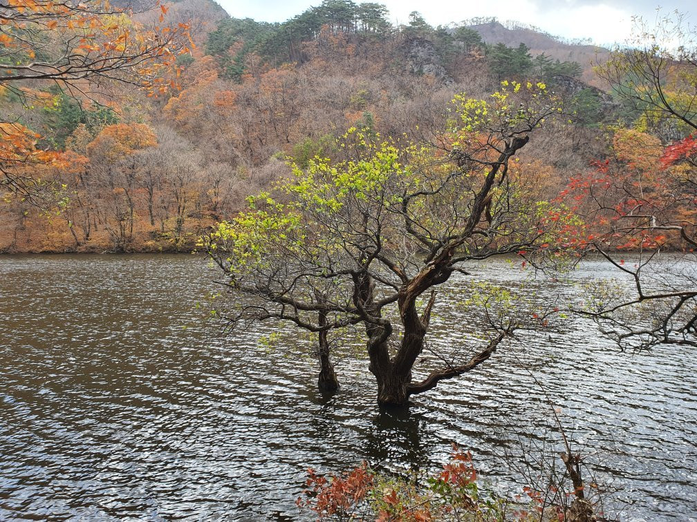 Jusanji Pond-青松郡必去景点
