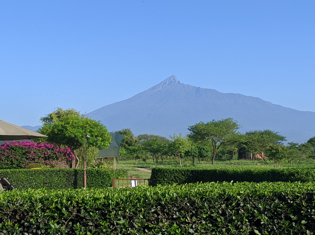 Dashir Lodge & Safaris主图