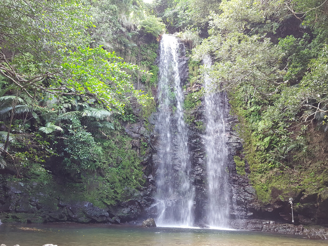 Tataki Falls景点图片