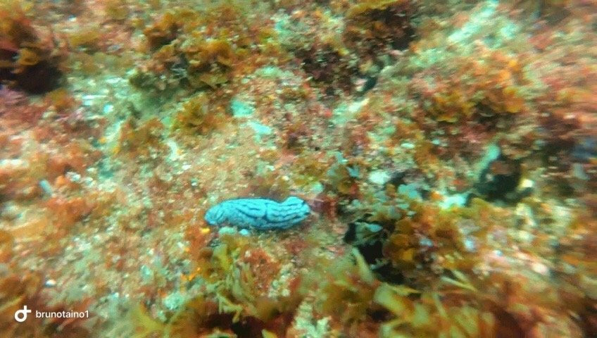 Dive In Adventure Tours景点图片