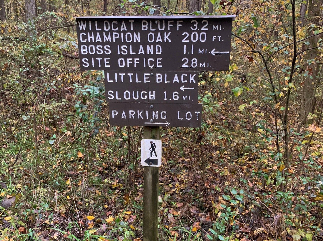 Heron Pond-Little Black Slough Nature Preserve景点图片