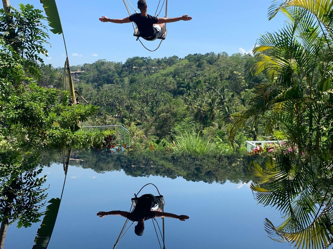 My Swing Bali - Bali Swing景点图片