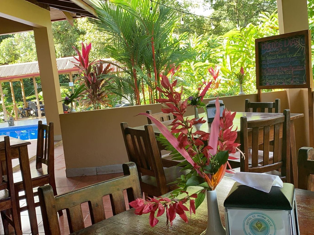 Hotel El Mono Feliz主图