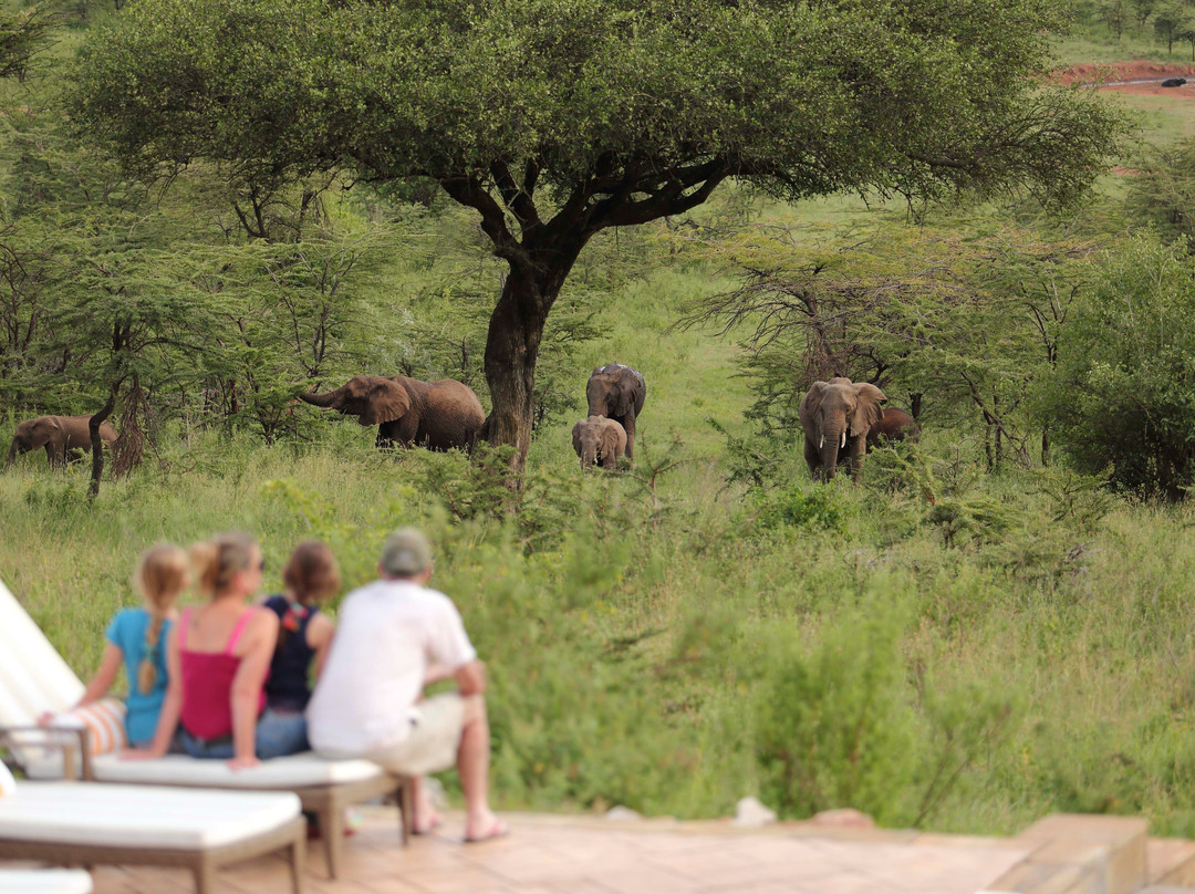 Spirit of the Masai Mara