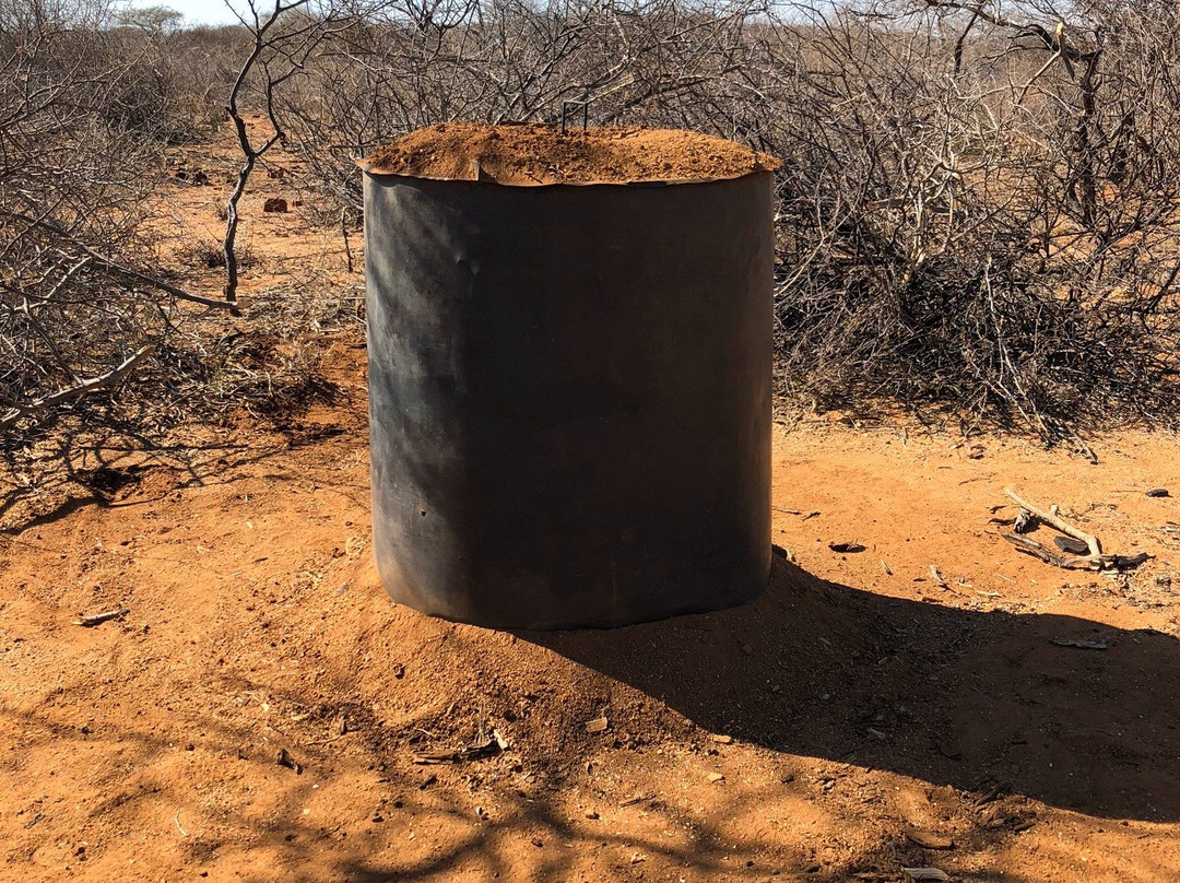 Haasenhof Guestfarm主图