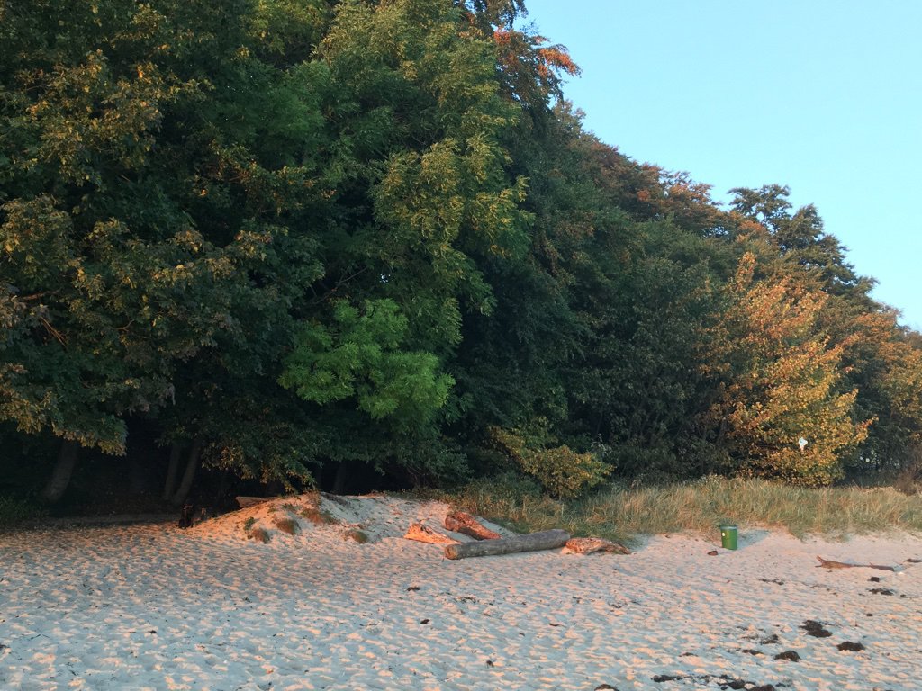 Inselhotel Rügen-泳池