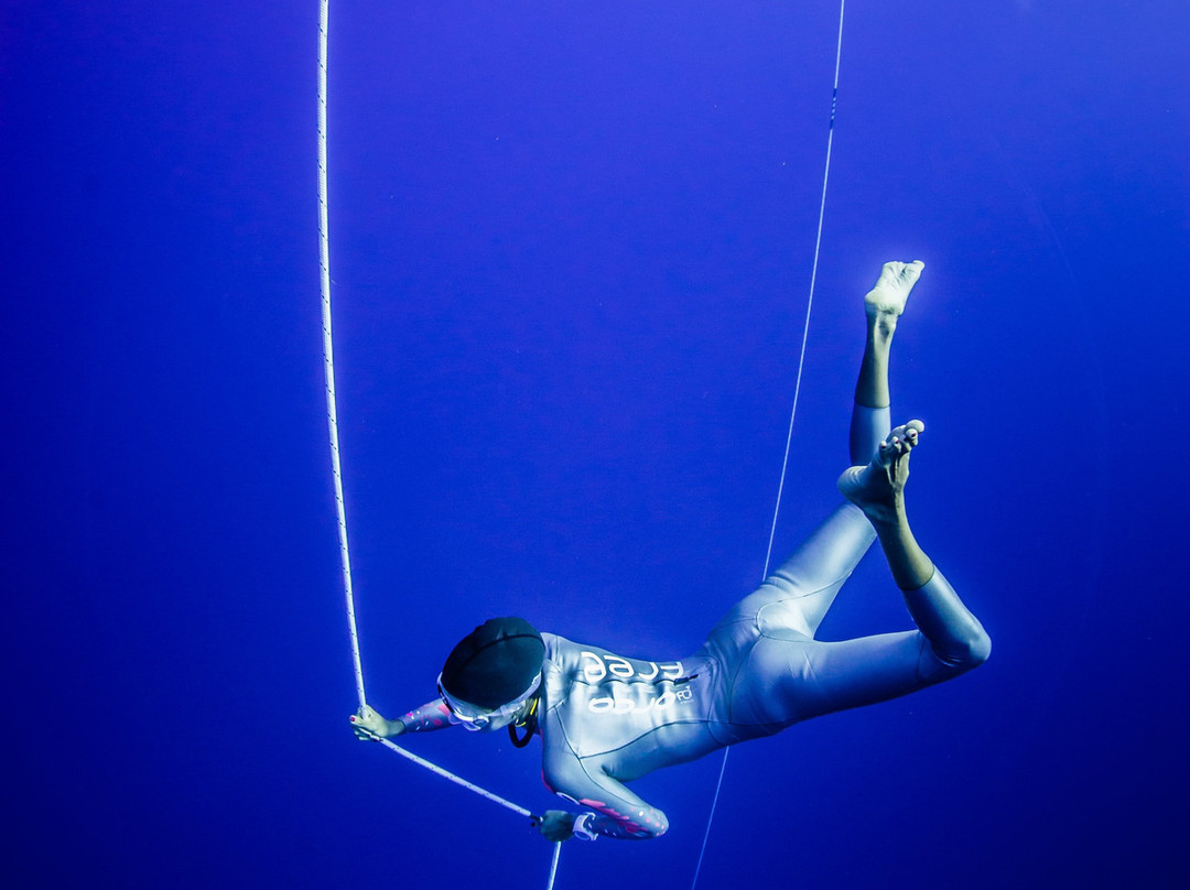 Freedive Hawaii景点图片