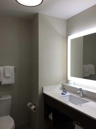 诺克斯维尔草莓平原快捷假日酒店主图