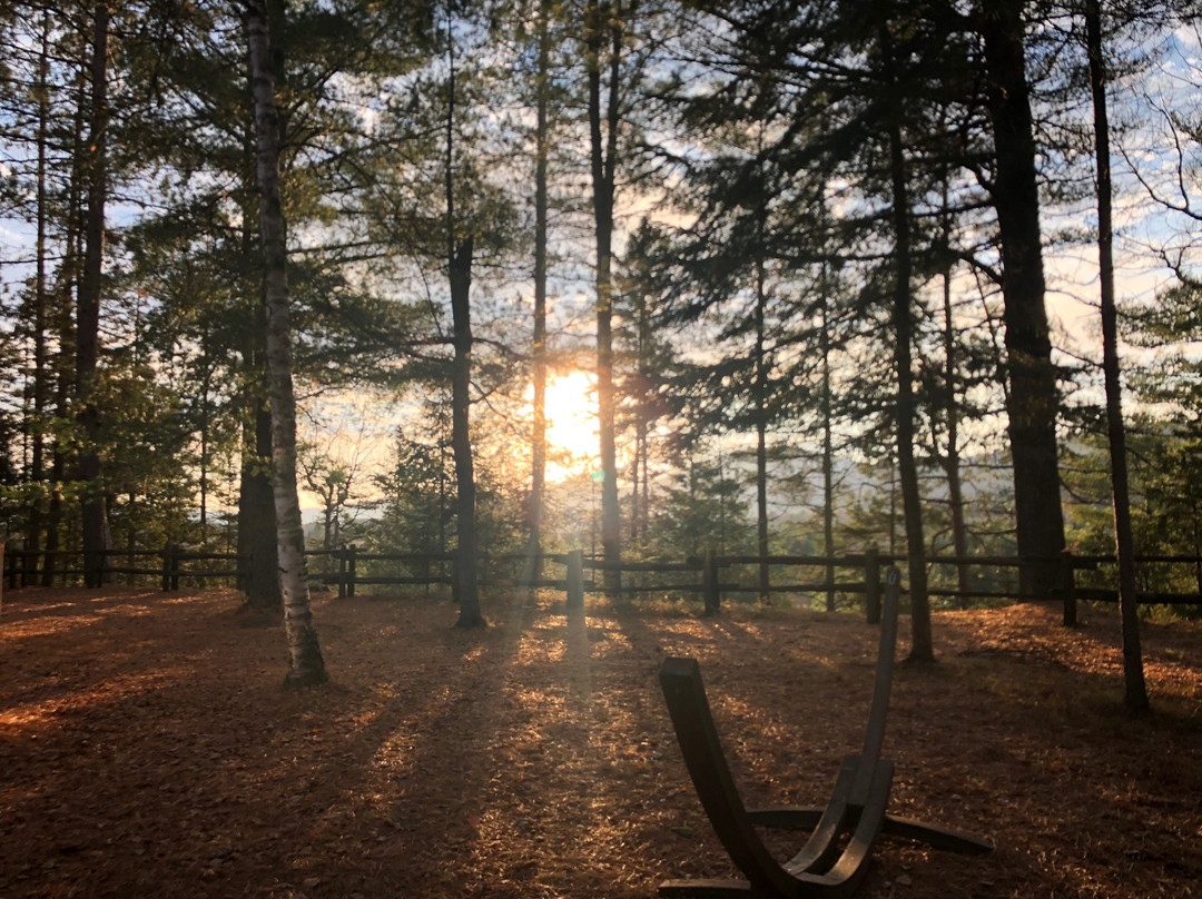 Auberge le Cosy Tremblant主图