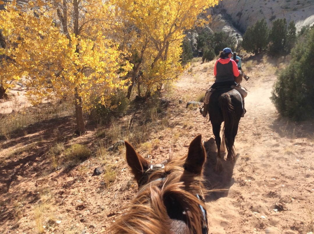 Hondoo Rivers and Trails-托里必去景点