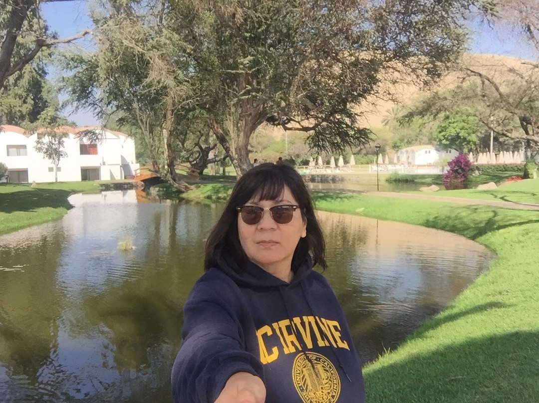 Hotel Las Dunas主图