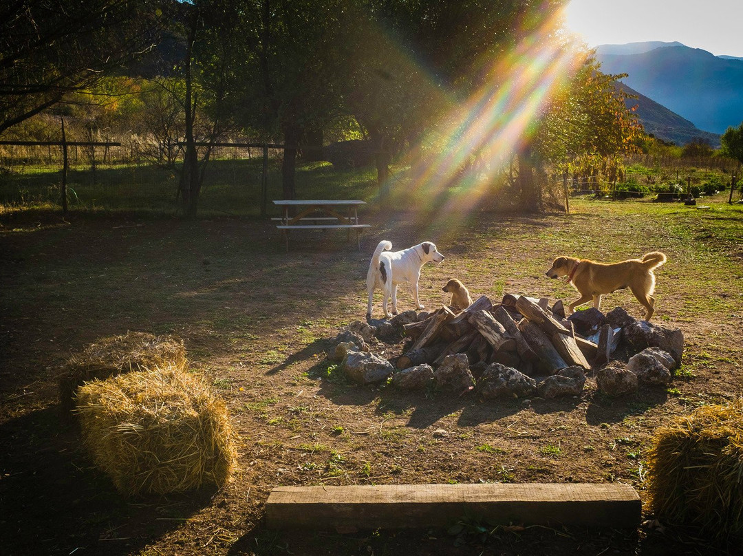 Orias Guesthouse & Farm主图