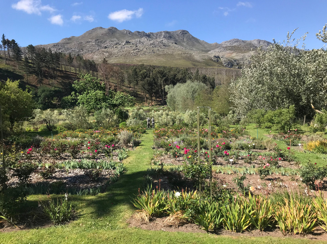 Wildekrans Country House主图