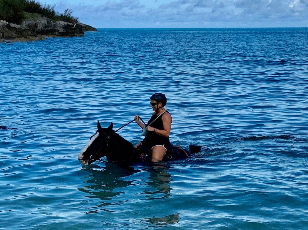 Moran Meadows-圣乔治必去景点