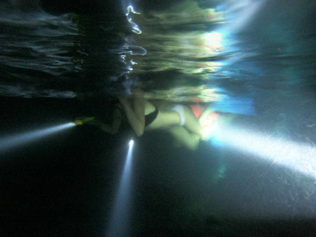Night Snorkeling Adventure /Mauritius-Pointe d'Esny必去景点