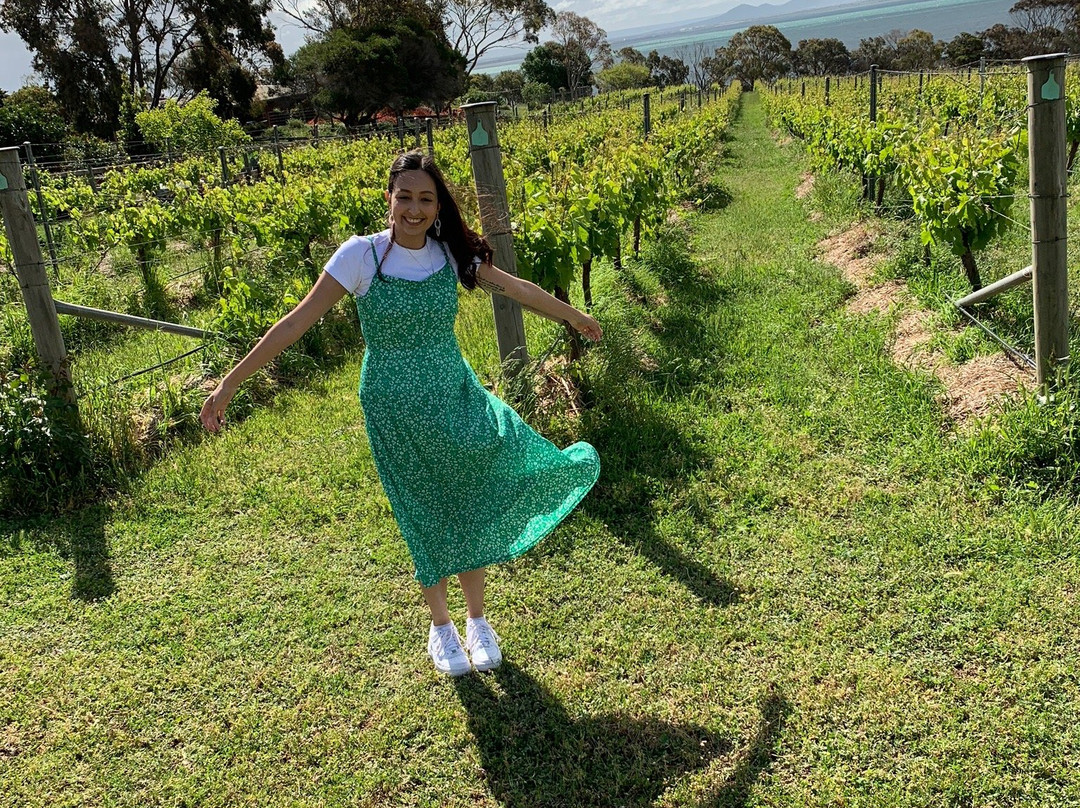 Geelong Winery Tours-吉朗与贝拉里尼必去景点