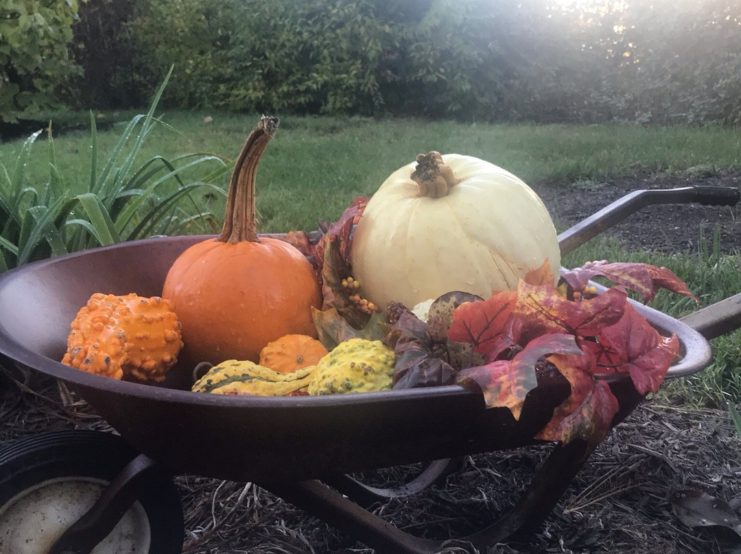 River Bluff Farm Bed & Breakfast主图