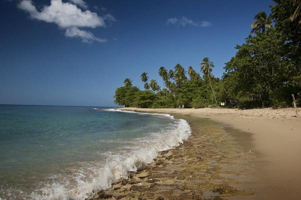 Tres Palmas Marine Reserve