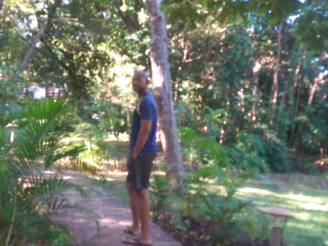 Pousada Canto No Bosque主图