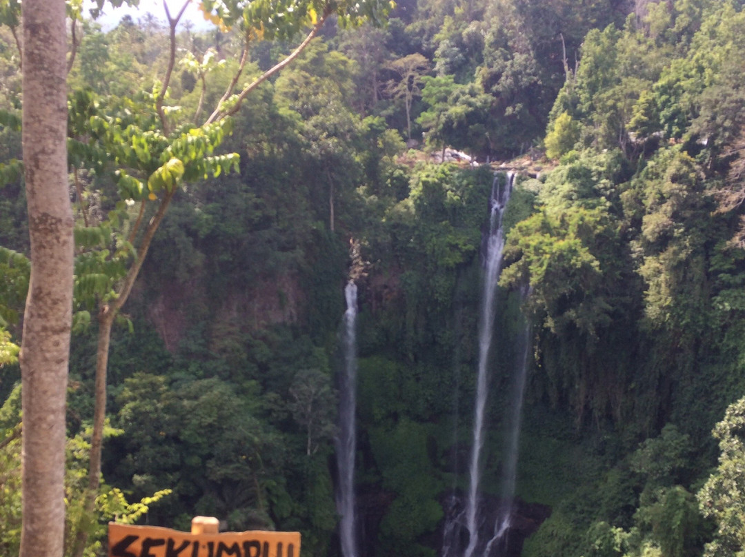 Sekumpul Waterfall Tour景点图片