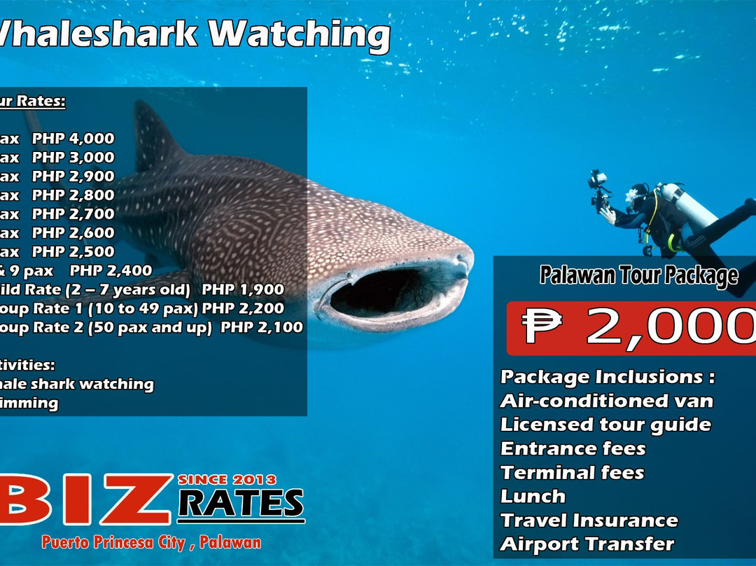 BIZ IT Travel and Tours-公主港必去景点