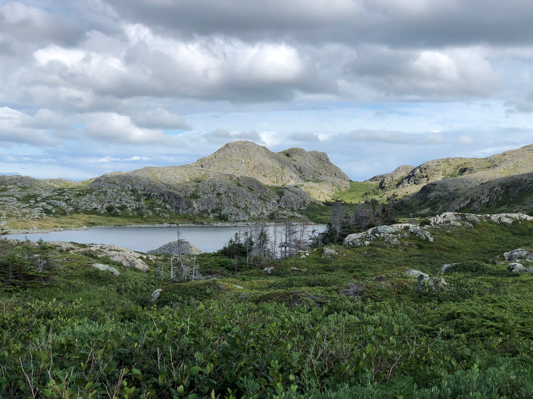 Lion's Den Hiking Trail景点图片