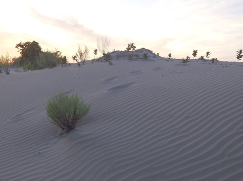 Lake Fever Wilderness Co.-多伦多必去景点